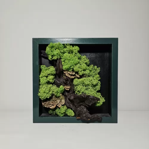 Tablou cu muşchi stabilizaţi