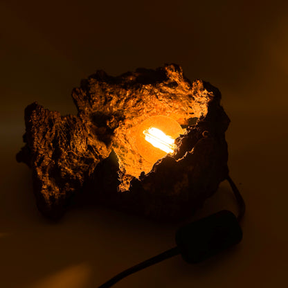 Lampă „Jar de Pădure”