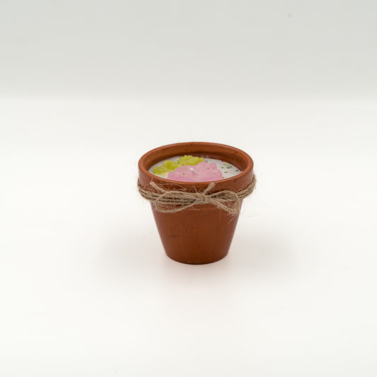 Floare de cireș în ghiveci