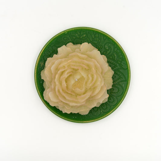 Bujor de fildeș pe Lotus